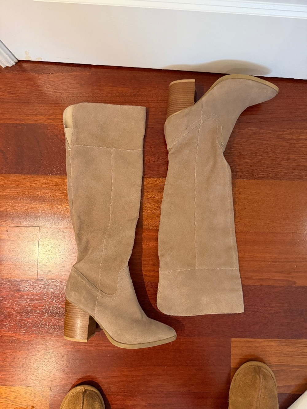 Steve Madden suede boots